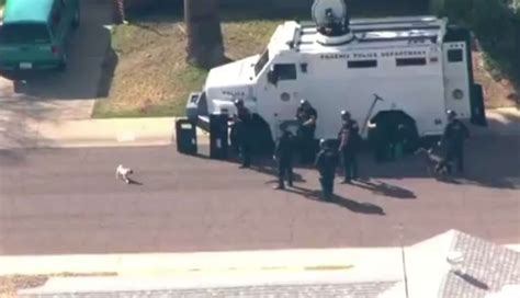 Video: Pug Interrupts Police Standoff To Pick Fight With K-9 Officer ...