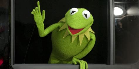 Kermit The Frog Memes: The Most Iconic Kermit Memes on the Internet