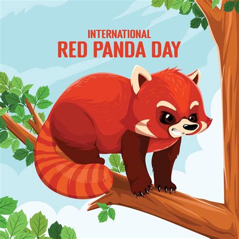 International Red Panda Day Design Concept 11188053 Vector Art at Vecteezy