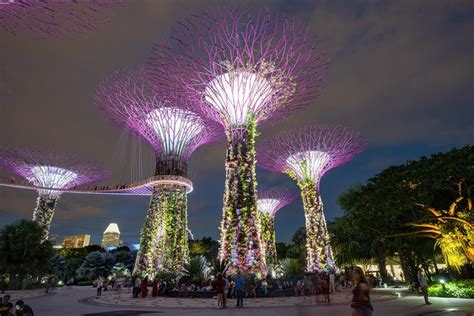 Singapore Night Tour with Gardens by the Bay and River Cruise 2022