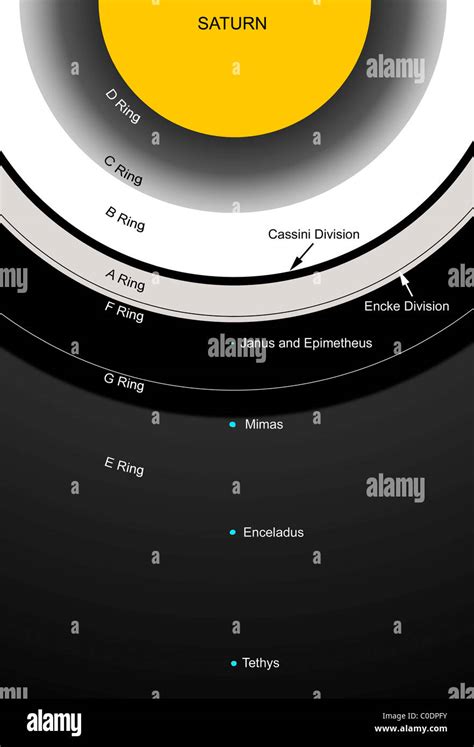 A diagram showing the major features of Saturn's rings Stock Photo - Alamy