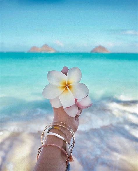 Cute Aesthetic Summer Wallpapers - Wallpaper Cave