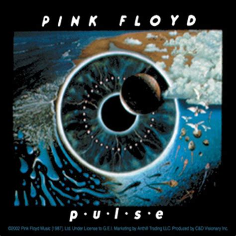 Pink Floyd - Pulse | Pink floyd, Pink floyd music, Floyd