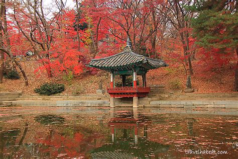 Changdeokgung Palace and the Secret Garden in Autumn - Go Travel First