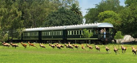 Luxury Rail Across South Africa Safaris & Luxury Tours | GILTEDGE