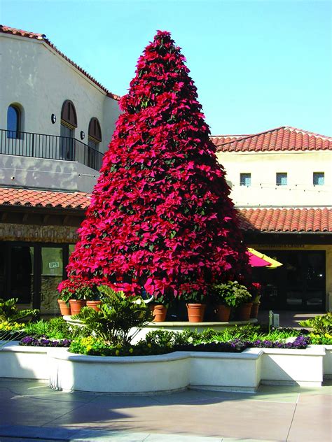 Manually Watered Poinsettia Tree | Commercial Christmas Supply - Commercial Christmas ...