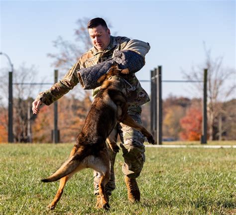 DVIDS - Images - JROTC National Raider Challenge 2023 [Image 7 of 18]