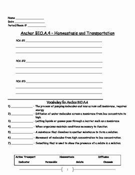 50 Passive And Active Transport Worksheet