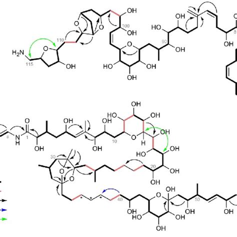 Structure of palytoxin. | Download Scientific Diagram