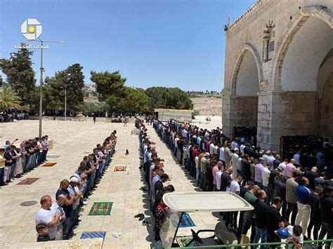 Photos: Thousands of worshipers attend Friday prayer at Al-Aqsa Mosque ...