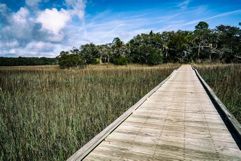 Edisto Beach State Park (2024) | Admission, Times, Photos & Events