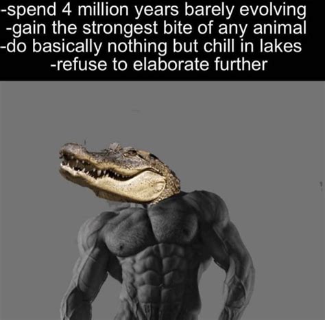 Crocodiles are alpha : r/memes