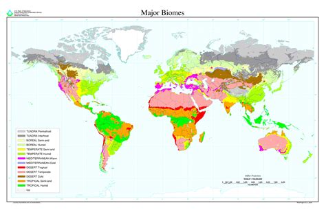 A map of all of the main world biomes : r/geographymaterials