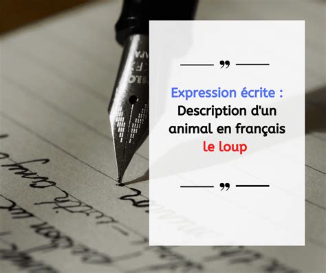 Expression écrite : Description d'un animal en français le loup