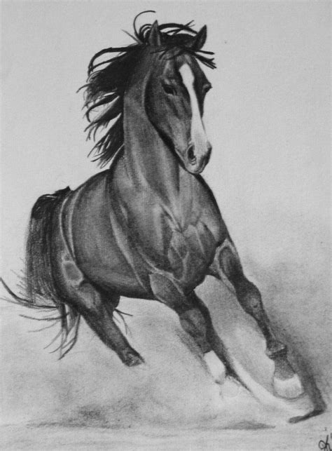 Horse by Drawings1990 on deviantART | Pencil drawings of animals, Horse drawings, Horse pencil ...