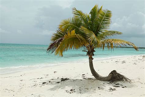 40+ Exuma Bahamas Weather Stock Photos, Pictures & Royalty-Free Images ...