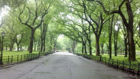 New York City: Central Park Walking Tour | GetYourGuide