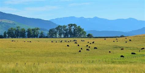 Buy Sell Montana Ranches: Exchanges, Conservation, Taxes, Legal