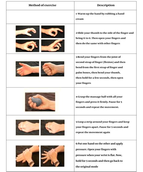 Hand strength exercise protocol (11) | Download Scientific Diagram