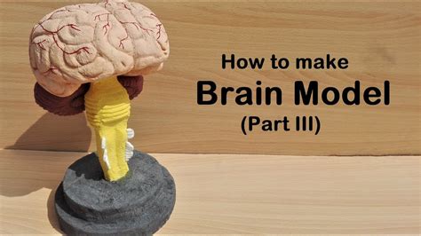 how to make Brain Stem Model | 3d thermocol/Styrofoam carving - YouTube