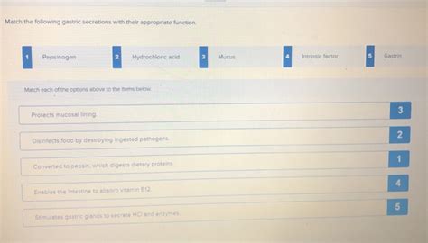 Solved Match the following gastric secretions with their | Chegg.com