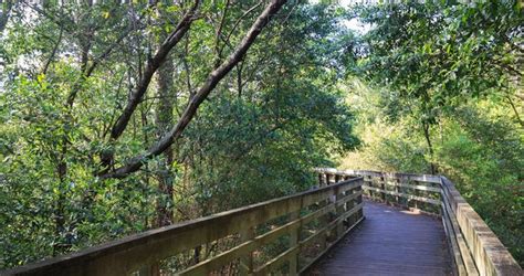 Best Things to Do in Texas: Houston Arboretum & Nature Center