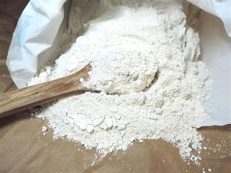 Diatomaceous Earth⎜Uses, Health Benefits, Is It Safe – Country ...