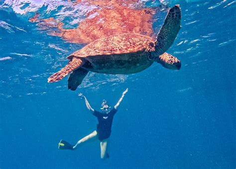 Honolulu Snorkel Tour: Explore Oahu's Underwater Beauty