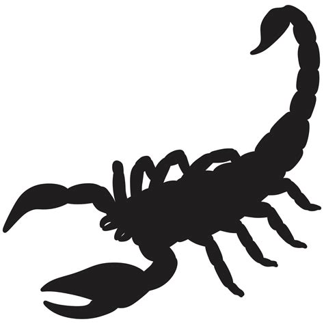 Scorpion Silhouette Drawing - Scorpion png download - 1201*1201 - Free ...