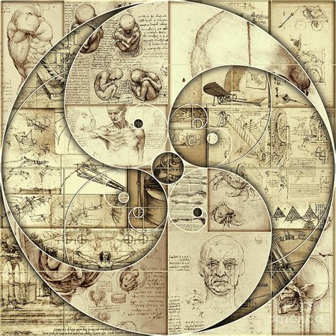 Leonardo Da Vinci Sketches Golden Ratio Yin And Yang Poster By Nenad Cerovic ...