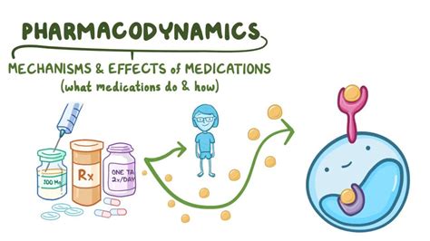 Pharmacodynamics: Drug-receptor interactions: Video | Osmosis