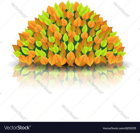 Bush Royalty Free Vector Image - VectorStock