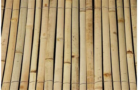 Bamboo Slats/ Flat Poles/planks Building Material for Walls - Etsy ...