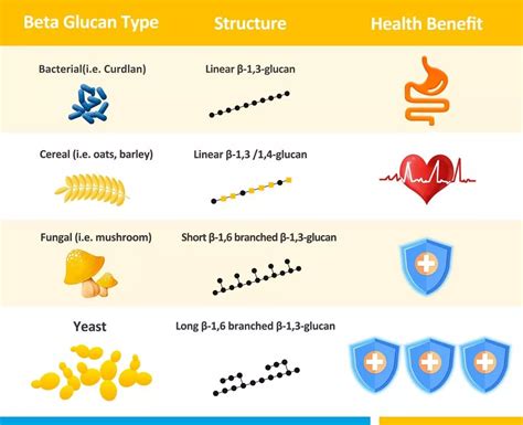 Beta Glucan là gì? Tác dụng gì tới sức khoẻ và hệ miễn dịch?