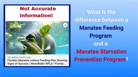 What is the difference between a “Manatee Feeding Program” and a “Manatee Starvation Prevention ...