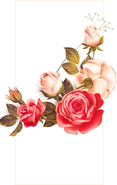 Flower Border Transparent Background Png