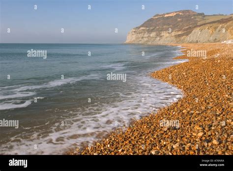 Seatown Beach, Dorset Stock Photo - Alamy