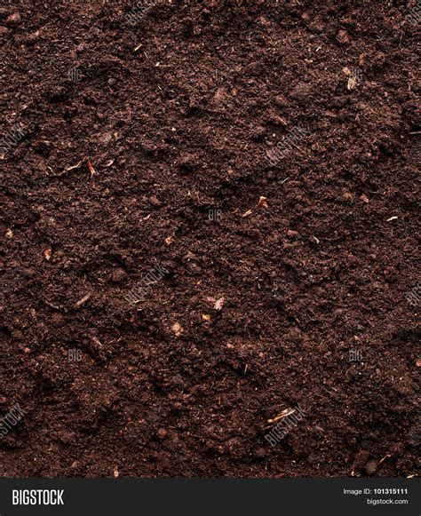 Soil Background Image & Photo (Free Trial) | Bigstock