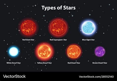 Different types stars in dark space Royalty Free Vector