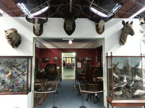 Booth Museum of Natural History - 2021 Tours & Tickets | All You Need to Know Before You Go ...