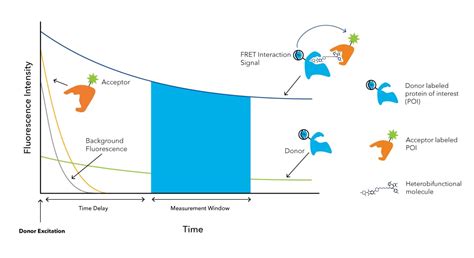 TR-FRET and FP Assay Reagents | Bio-Techne