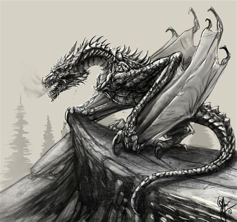 Pin by Ferdinand Avila-Soto on DRAGONES | Dragon sketch, Dragon drawing, Dragon artwork