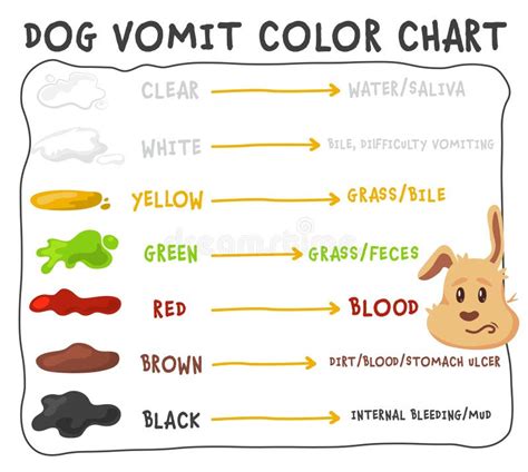 Dog Vomit: Causes, Diagnosis, Types Treatment, 54% OFF