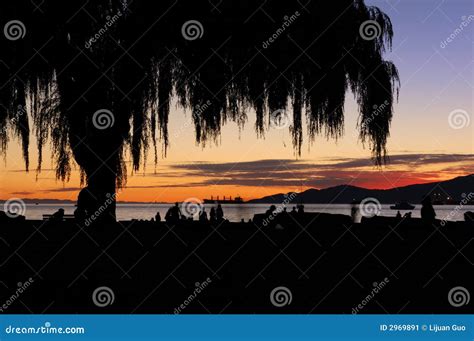 Sunset at Beach, English Bay Stock Image - Image of willow, picnic: 2969891