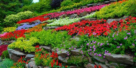 colorful-flowers-terraced-hillside-garden-design_11850 – The Landscape ...