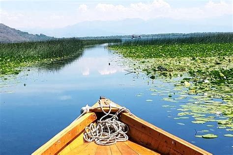 Skadar Lake - boat/kayaking & wine tour from Kotor, Budva or Tivat 2022