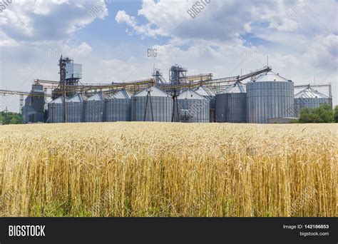 Grain Storage System Image & Photo (Free Trial) | Bigstock