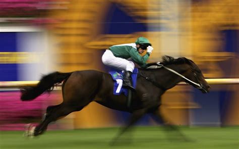 Horse Racing Wallpapers - Top Free Horse Racing Backgrounds - WallpaperAccess