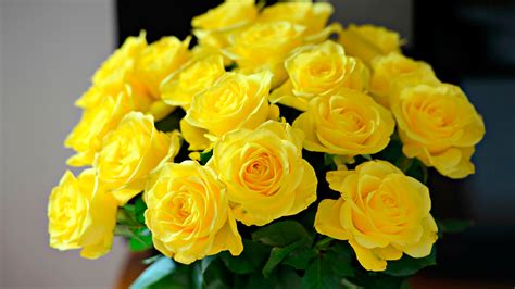 Yellow Rose Flower Arrangements in Vase - HD Wallpapers | Wallpapers Download | High Resolution ...