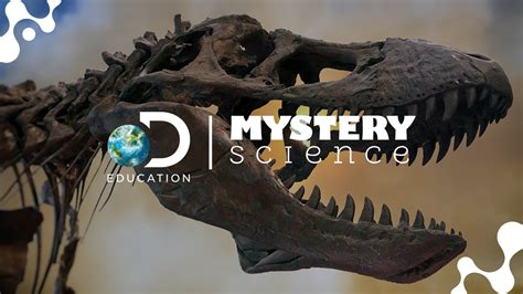 Science Video Lessons | Mystery Science | Discovery Education